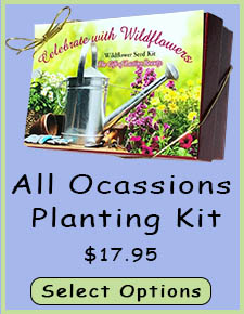 all ocassions planting kit 1